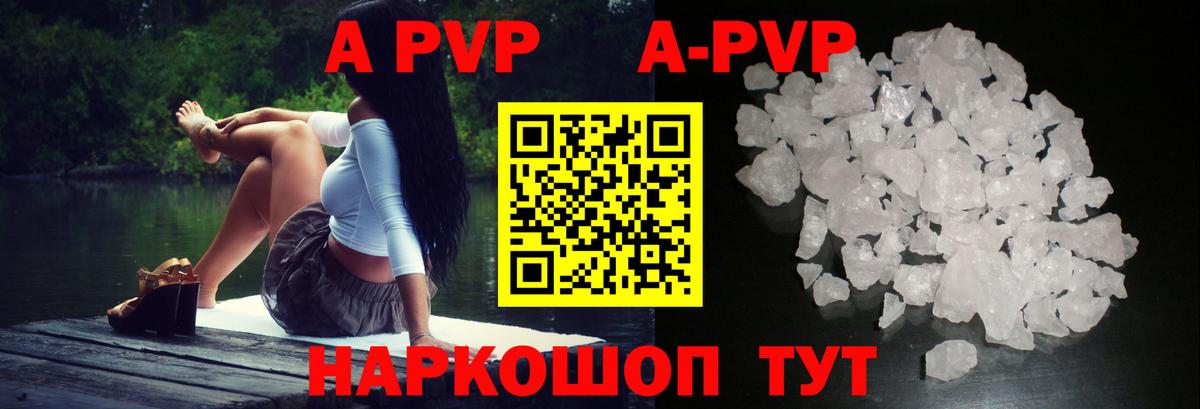 Альфа ПВП СК Гагарин