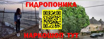 стафф Анжеро-Судженск