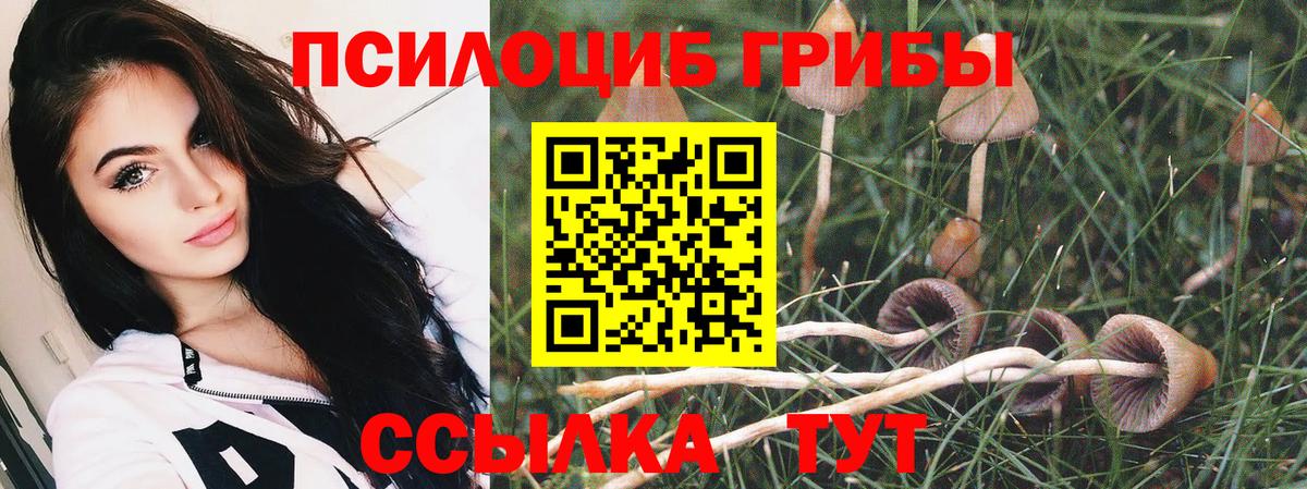 Галлюциногенные грибы GOLDEN TEACHER Гагарин